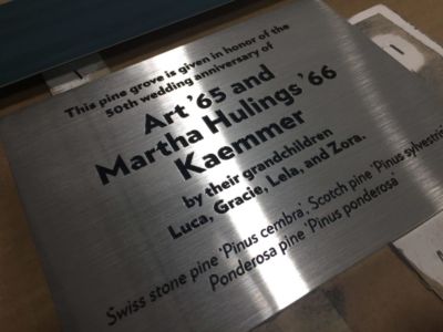Engraved Metal & Paint Filling on Plaque